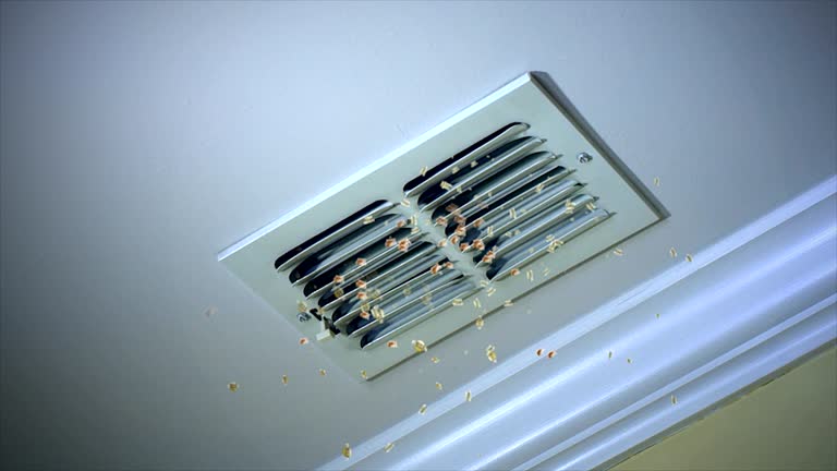 Best Residential Air Duct Cleaning  in Hughes Springs, TX