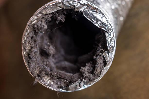 Best Affordable HVAC Duct Cleaning  in Hughes Springs, TX