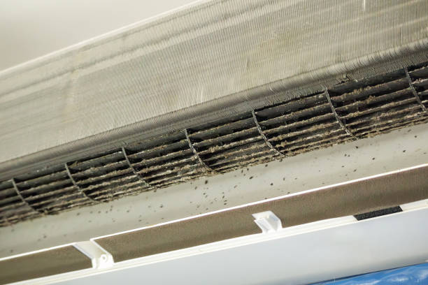 Best HVAC Duct Inspection Services  in Hughes Springs, TX
